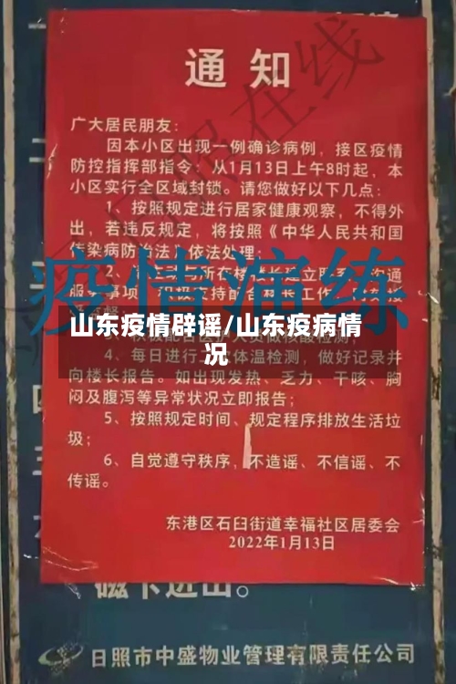 山东疫情辟谣/山东疫病情况-第2张图片
