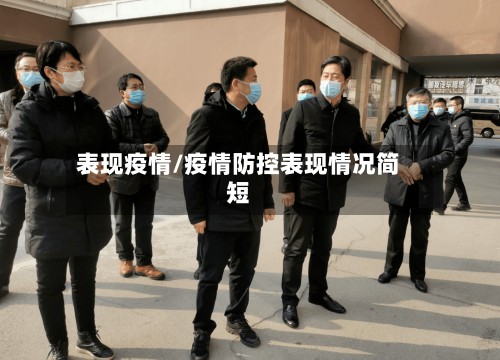 表现疫情/疫情防控表现情况简短