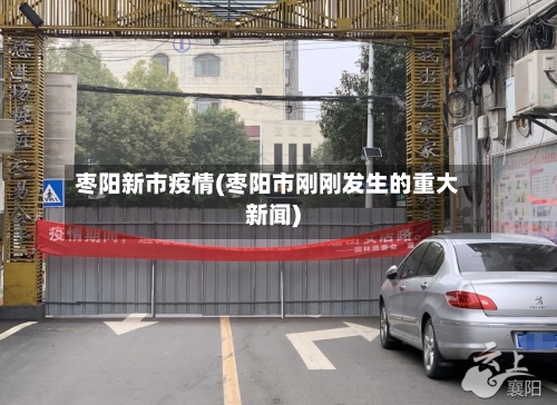 枣阳新市疫情(枣阳市刚刚发生的重大新闻)